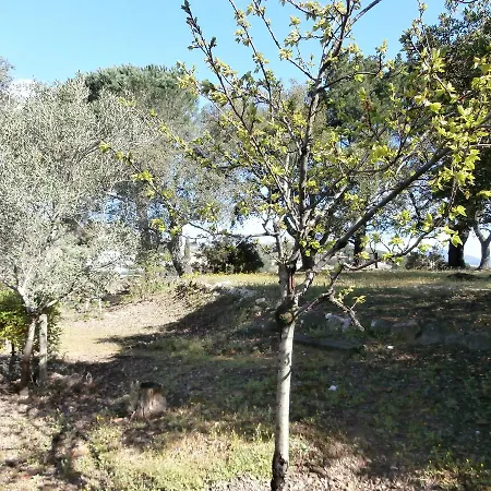 La Maison Des Oliviers Maison d'hôtes 2*