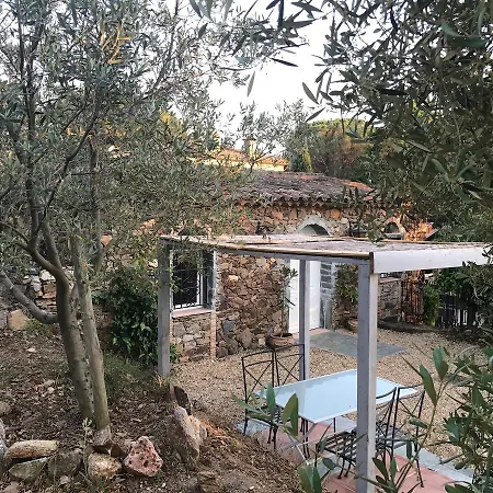 Maison d'hôtes La Maison Des Oliviers